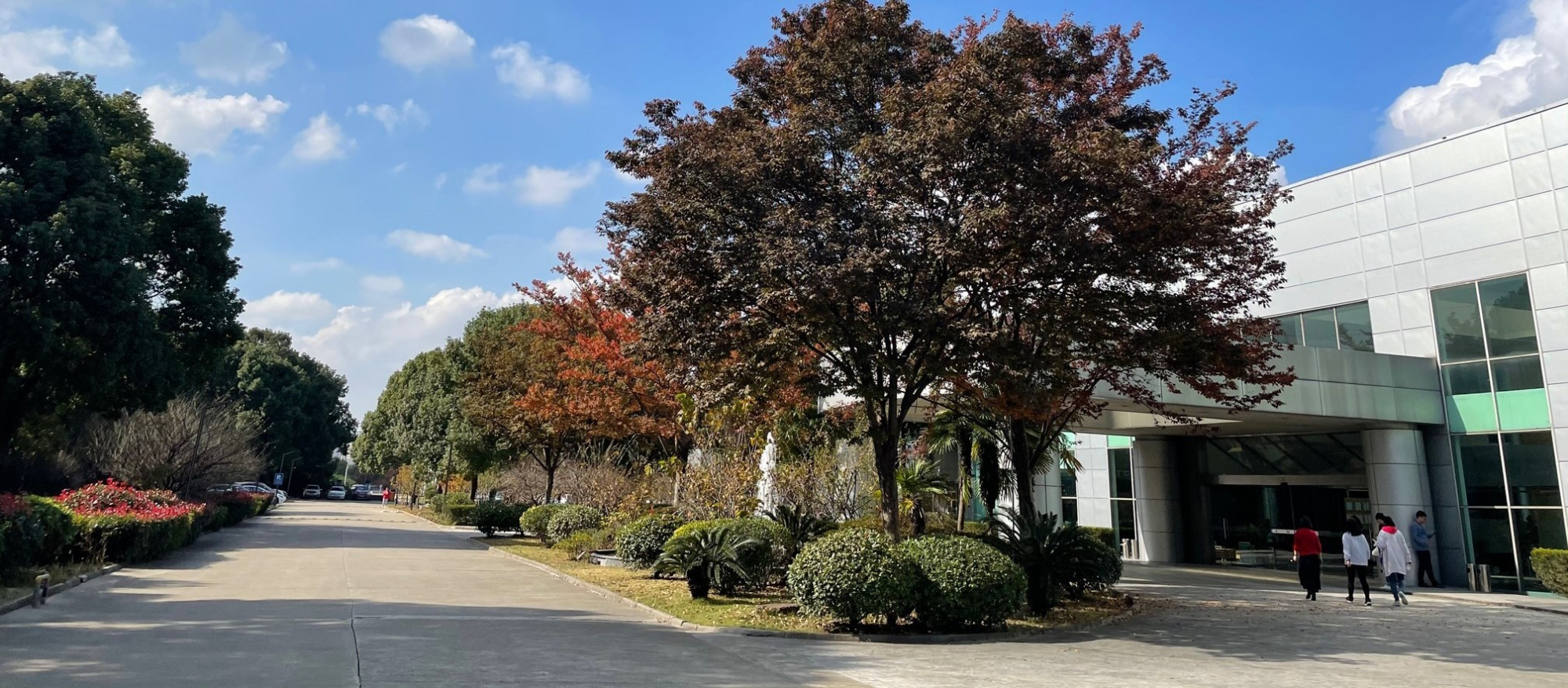 91香蕉网站在线