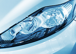 91香蕉网站在线