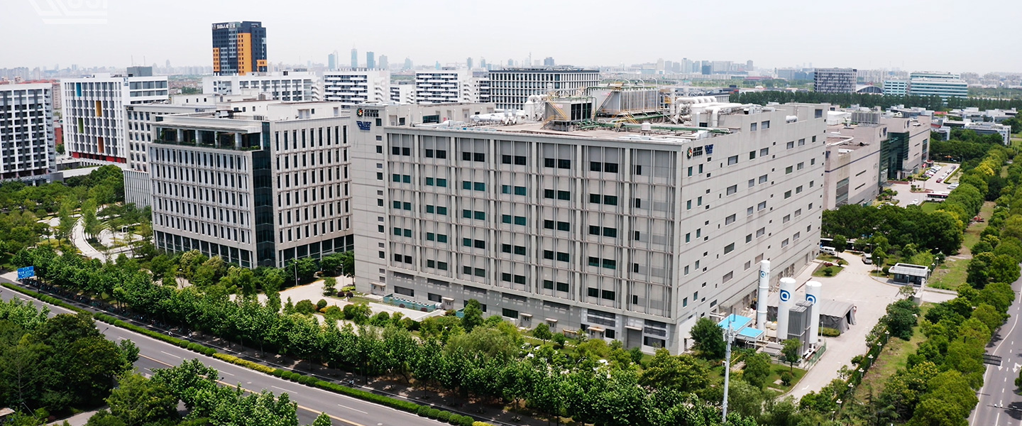 91香蕉网站在线